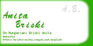 anita briski business card